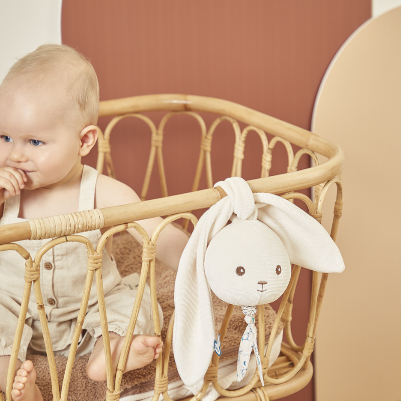 Bebê no moisés com coelhinho Lapinoo branco